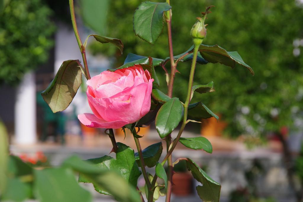 Hotel Athina Kinira Zewnętrze zdjęcie
