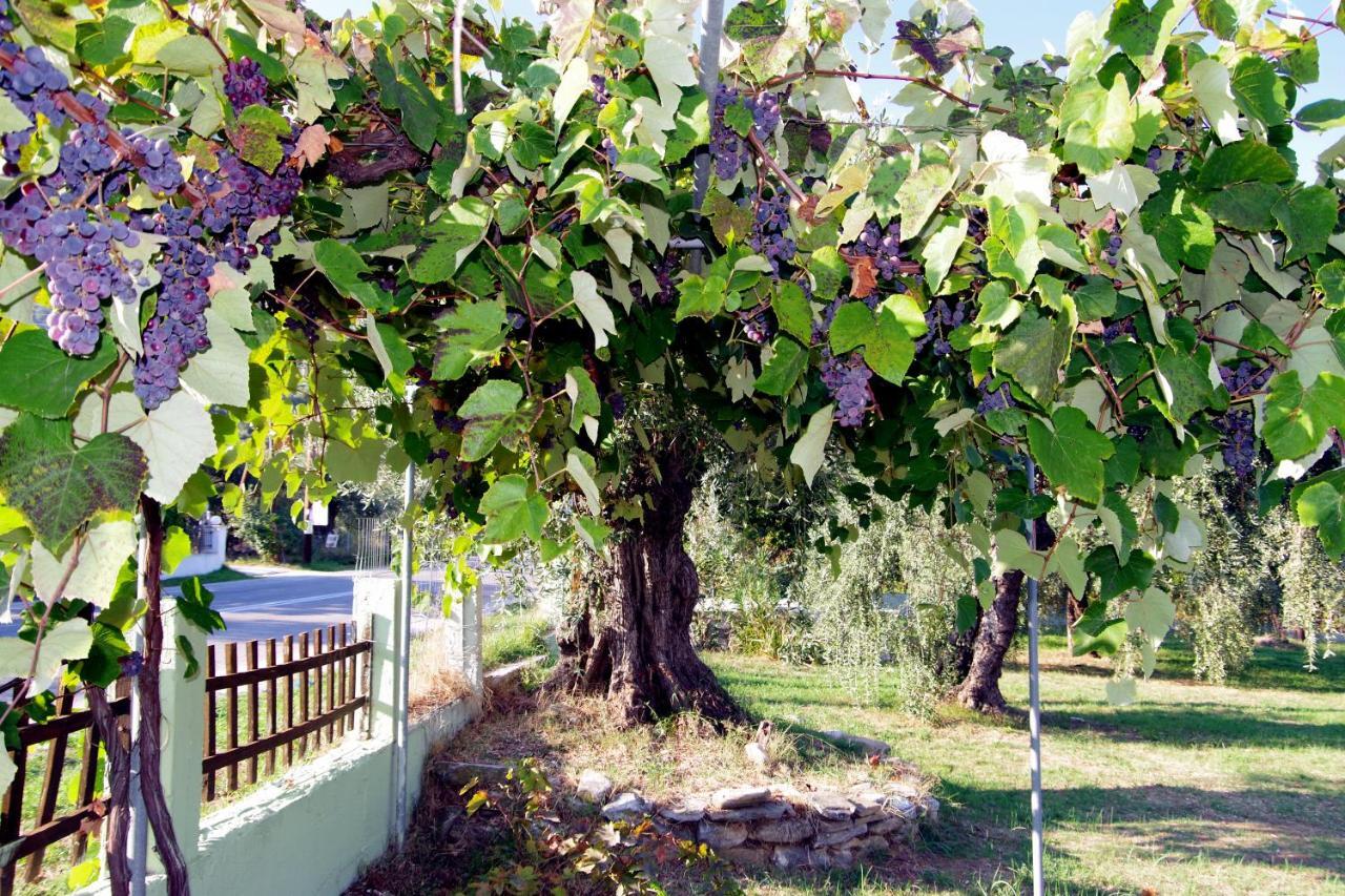 Hotel Athina Kinira Zewnętrze zdjęcie